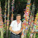 ���� �������, ������� �����, 68 ��� - ��������� 27 ������� 2017 � ������ ���� ����������