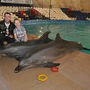 ���� ���������, �����������, 56 ��� - ��������� 26 ������� 2017