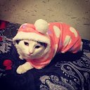 ���� ����, ������, 34 ���� - ��������� 16 ������� 2016 � ������ ������ ��������