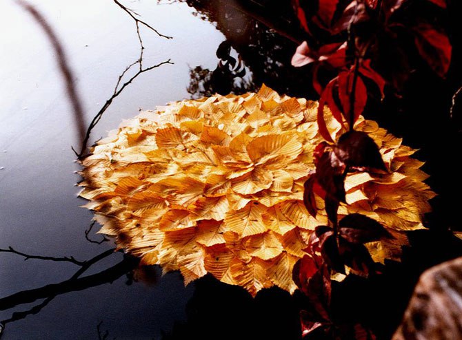 ))).  - - ( . land art  -)    , ... - 2