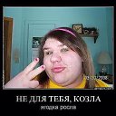  .. .,  -  31  2016    -