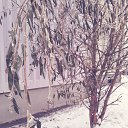  Lana [Bg],  -  11  2016    