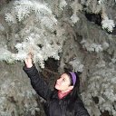 ���� ��������, ���������, 33 ���� - ��������� 27 ������ 2017 � ������ ���� ����������