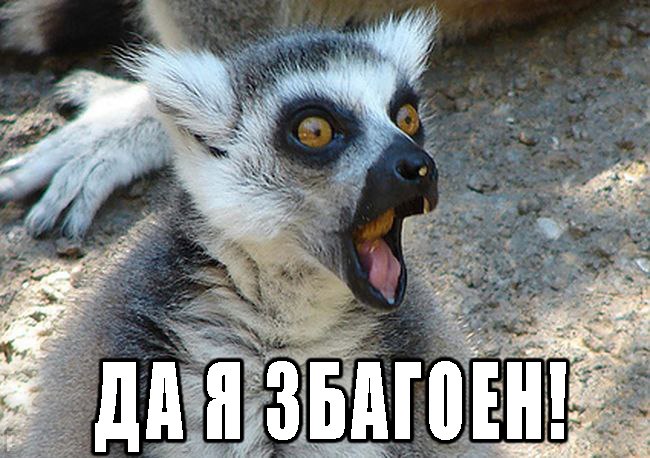 x - 22  2016  17:04 - 2