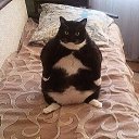 ���� ������, ������-��-����, 67 ��� - ��������� 4 ������ 2016 � ������ ���� ����������