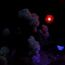 ���� �������, ������, 51 ��� - ��������� 11 ������� 2016 � ������ ����� 2016�