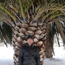  Arzu, , 50  -  8  2017    