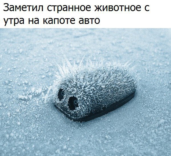  - 27  2016  18:38