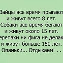 ���� ���������))))), �����������, 51 ��� - ��������� 19 ������ 2017 � ������ ������ ��������