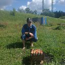 ���� ������, ������, 39 ��� - ��������� 23 �������� 2016 � ������ �2015�