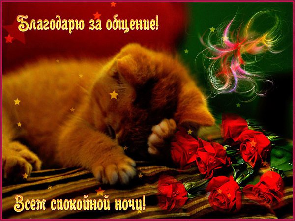 ~Dasha~ - 19  2016  23:52