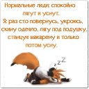 ���� �����, �����, 54 ���� - ��������� 24 ������� 2016 � ������ ������ ��������