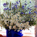 ���� Mara, ������ - ��������� 3 ������ 2016 � ������ ������ ��������