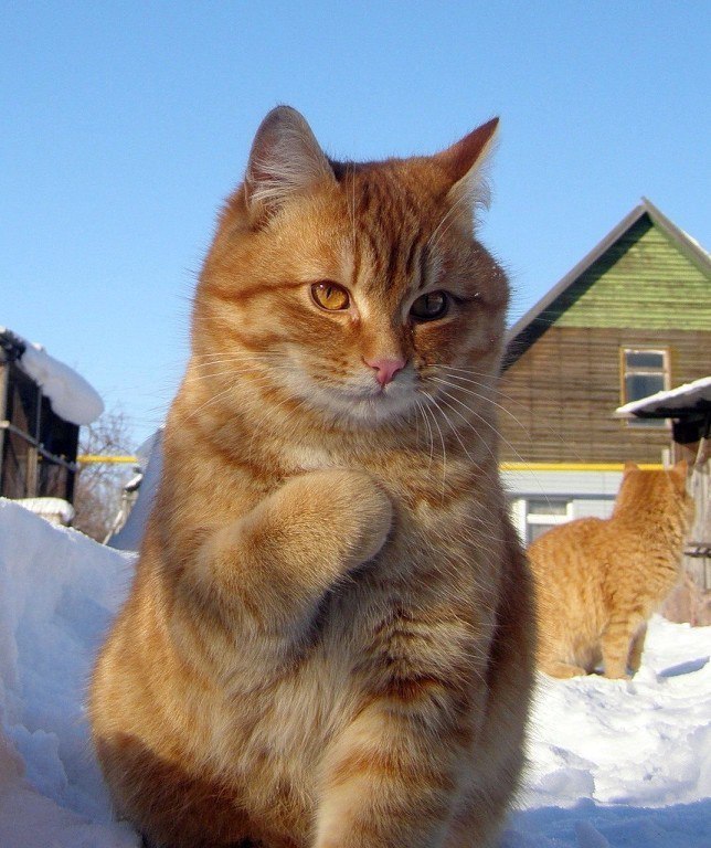     !)))