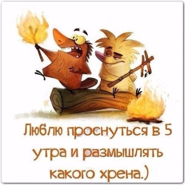    - 7  2016  07:57
