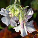 ���� �����, �����, 64 ���� - ��������� 22 ������� 2016 � ������ ������� ���������