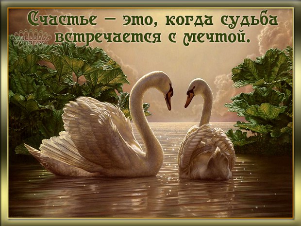   - 11  2016  21:10