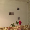 ���� ������, ���������, 69 ��� - ��������� 21 ������� 2016 � ������ ���� ����������