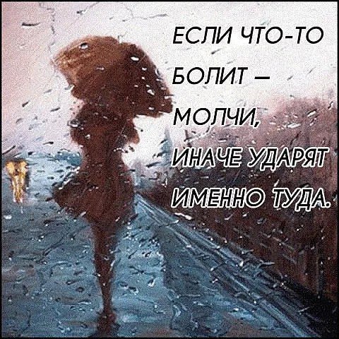   -   - ,    ... - 2