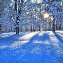 ���� ������, ����������, 49 ��� - ��������� 21 ������ 2016 � ������ ���� ����������