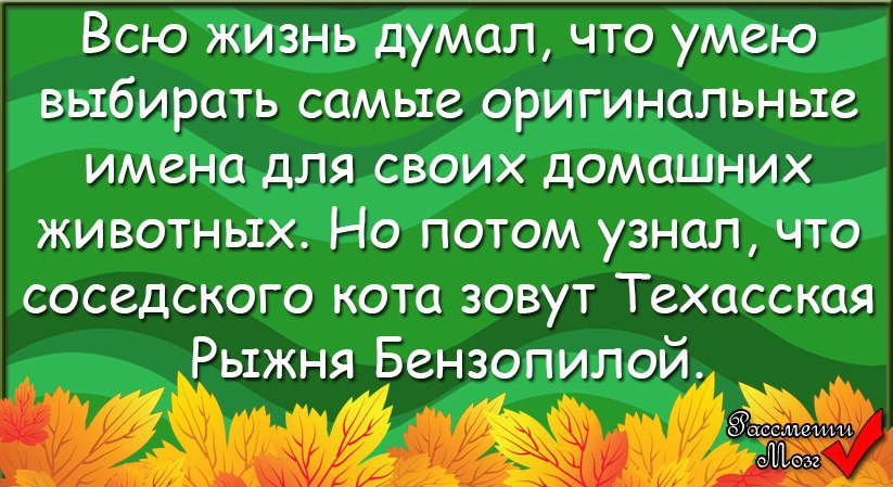  - 30  2016  13:03