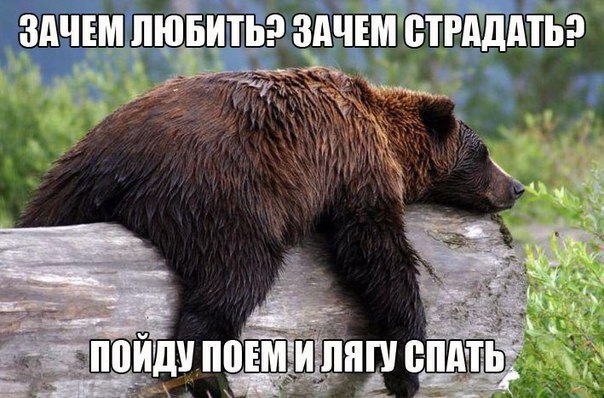    :D - 2  2017  07:08
