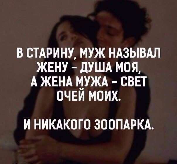   | Online  | , ,  - 6  2016  19:21