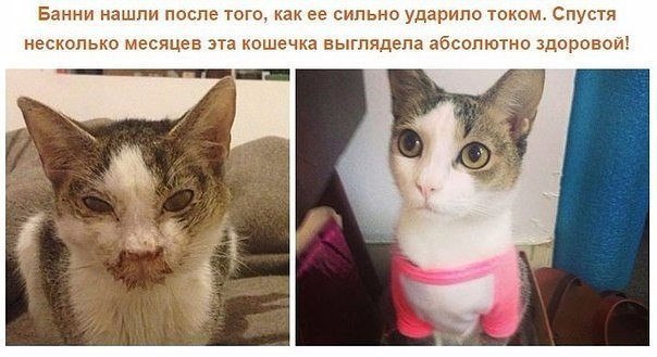  ,    :    . ,  ! - 6