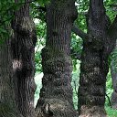 ���� ������, �������� - ��������� 12 �������� 2016 � ������ ���� ����������