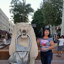 ���� �����, ������ - ��������� 28 �������� 2016 � ������ ��������