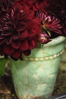 ���, ��� �� ����������, ������ ���, ��� �����, � ������ � �������. ������ �������� - 5