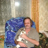 , 64 , 