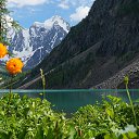  , -, 53  -  7  2016    .