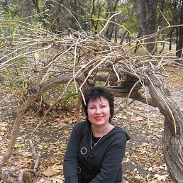 �����, ��������, 58 ���