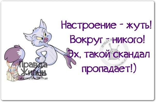 Правда Жизни - 24 января 2017 в 03:37