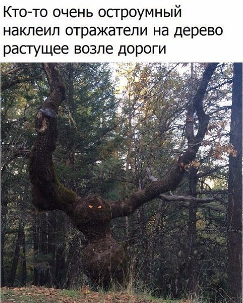  - 8  2017  05:33