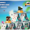 ���� ���������, ������, 43 ���� - ��������� 13 ������� 2016 � ������ �������� �������-�������