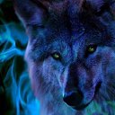 ���� �����, �����-���������, 46 ��� - ��������� 11 ������� 2016 � ������ ���� ����������