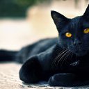 � ��� ����������� ������... �� ������� ���� ����������