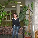  , --, 51  -  18  2017