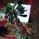 ���� ���������, �����-���������, 64 ���� - ��������� 29 �������� 2016 � ������ ���� �������� ����� !�