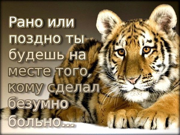 Прежде, чем причинять боль другим, помни: Всё возвращается!
