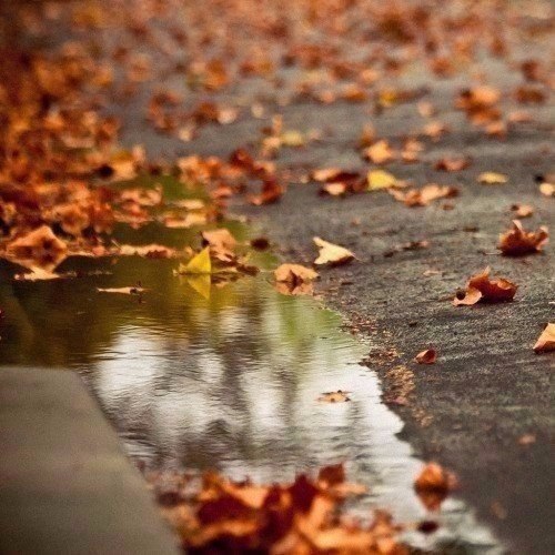      ,       !... - 2