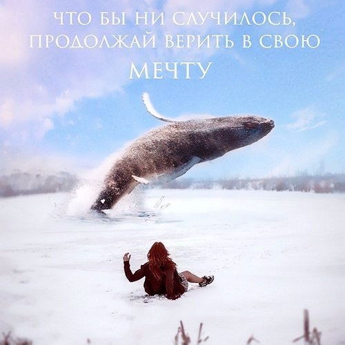  | ,  - 27  2017  21:29