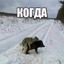 ���� �����, ��������, 48 ��� - ��������� 24 �������� 2016 � ������ ������ ��������