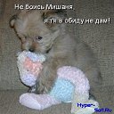 ���� �������, �������, 43 ���� - ��������� 14 �������� 2016 � ������ ������ ��������