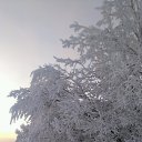 ���� �����, ��������, 46 ��� - ��������� 8 ������ 2016 � ������ ���� ����������
