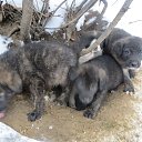 ���� �������, ������ - ��������� 23 ������� 2017 � ������ ������ ��������