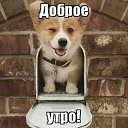 ���� ����, �����-���������, 40 ��� - ��������� 25 �������� 2016
