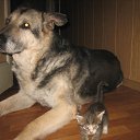 ��� �������!!